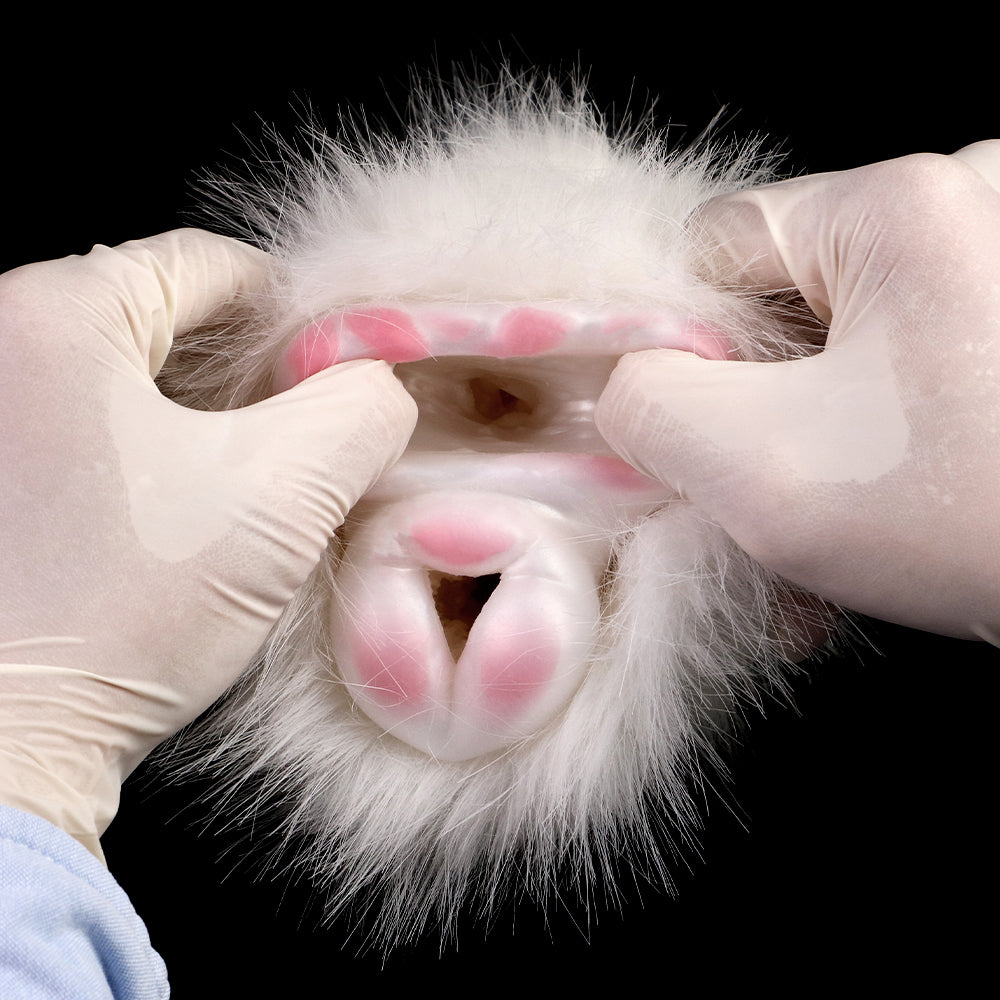 Guinea Pig Pocket Pussy Male Masturbator - Lifelike Animal Furry Sex Doll Penis Masturbator Xoxomoving