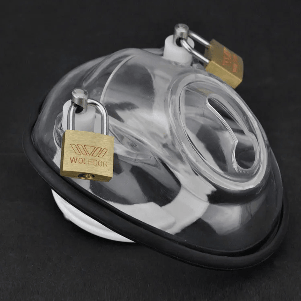 The Chastity Cup Xoxomoving