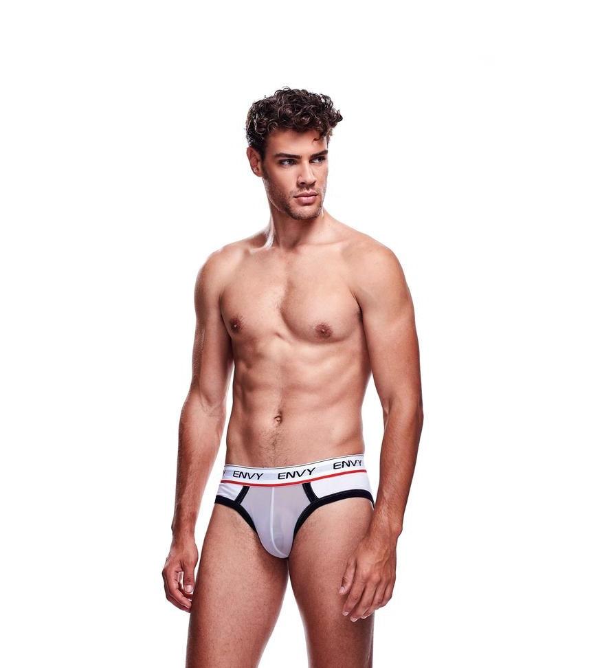 Envy Mesh Brief Xoxomoving