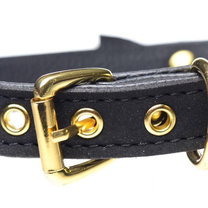 Sugar Kitty Cat Bell Collar - Xoxomoving