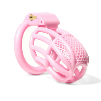 Pink Proto-Hive Chastity Cage Xoxomoving
