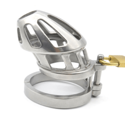 Steel Breeze Chastity Cage Xoxomoving