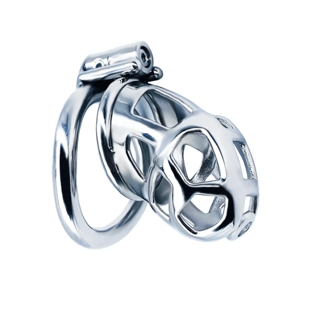 Steel Cobra Chastity Cage Xoxomoving