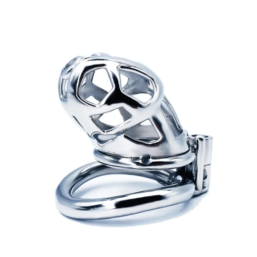 Steel Cobra Chastity Cage Xoxomoving
