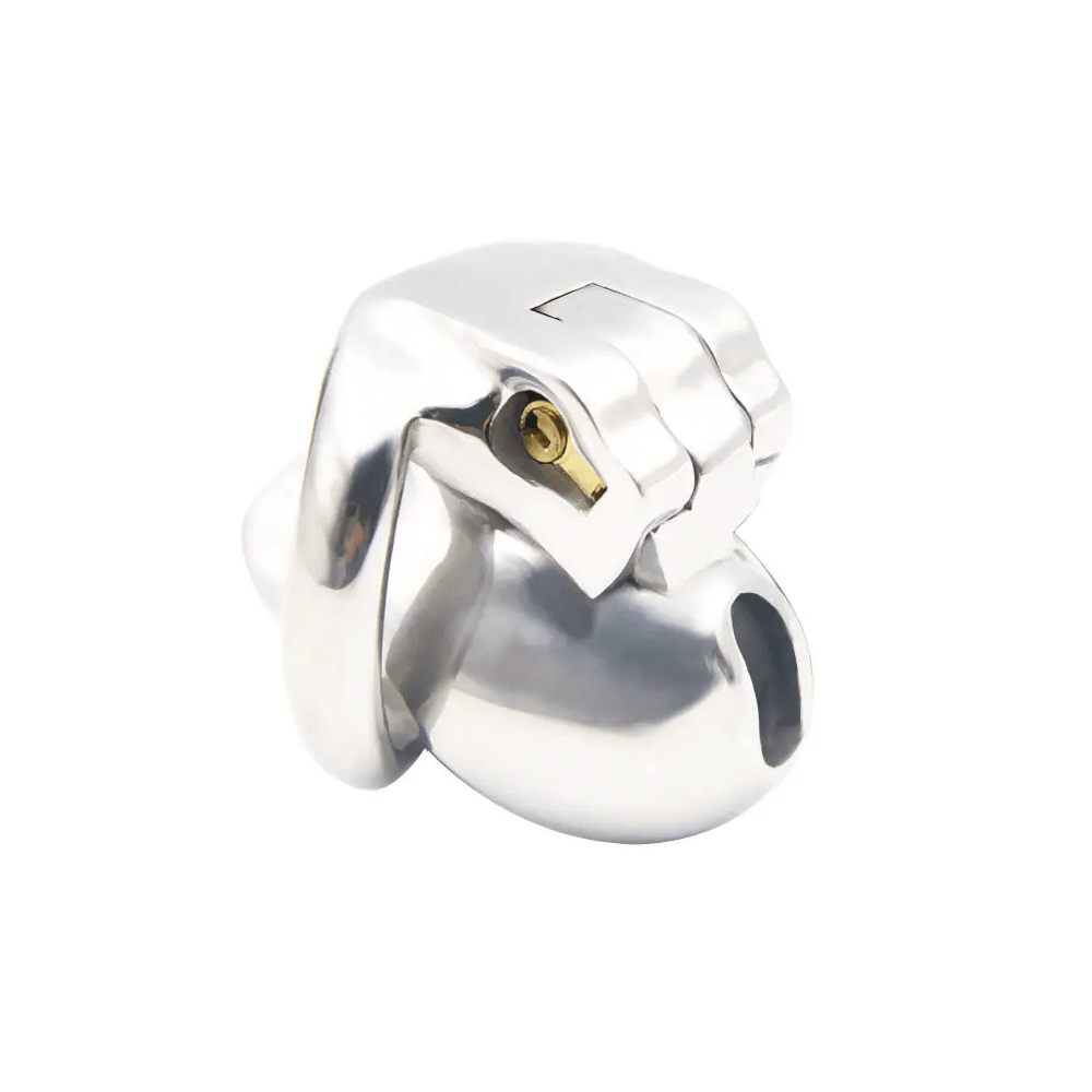 Steel Nub Chastity Cage Xoxomoving