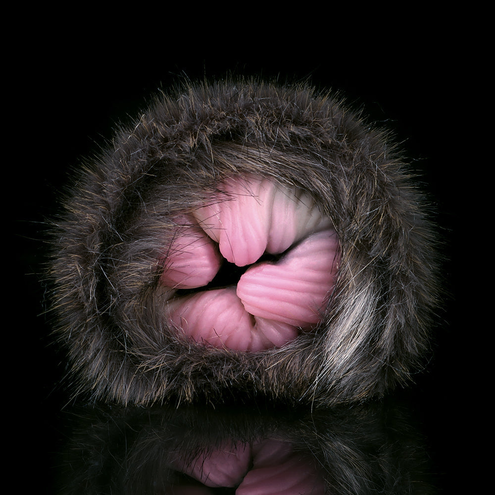 Black Cat Pussy Masturbaton Cup Sex Toy for Men - Furry Animal Vagina Penis Massage Male Masturbator Xoxomoving