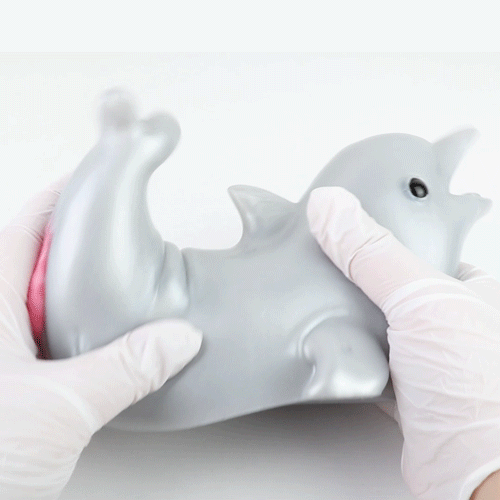 Dolphin Silicone Mini Sex Doll - Realistic Cute Pocket Pussy for Men Masturbation Domlust