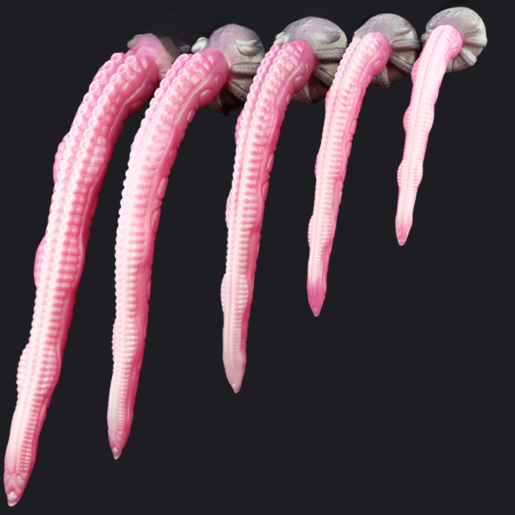 Octopus Elder Tentacle Dildo (Biggest) Xoxomoving