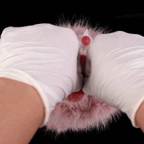 Fantasy Cat Paw Animal Pussies Furry Sex Doll - Male Plush Silicone Penis Masturbation Cup Domlust