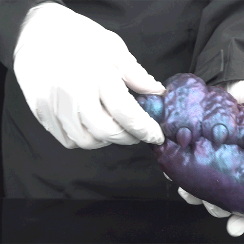 Fantasy Creature Hand Silicone Stroker – Discrete Grip Pussy for Intense Masturbation & Male Sex Toys Domlust