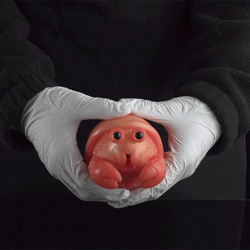 Realistic Hermit Crab Silicone Pocket Pussy - Fantasy Mini Sex Doll for Men Blowjobs Domlust