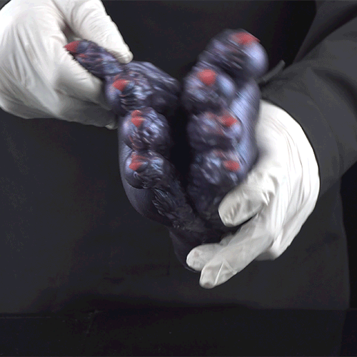 Fantasy Demon Double-Foot Silicone Pocket Pussy – Hidden Channel Masturbator with Furry Texture & Claws Domlust
