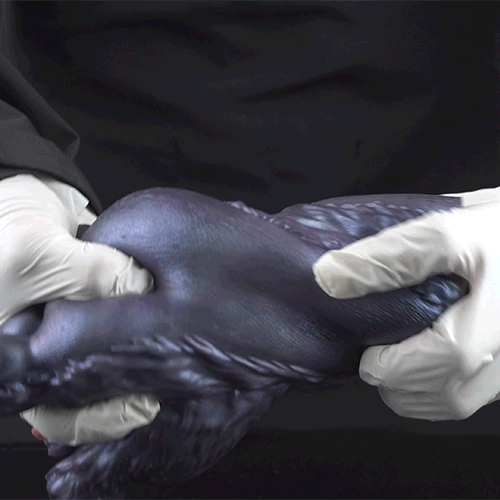 Fantasy Demon Double-Foot Silicone Pocket Pussy – Hidden Channel Masturbator with Furry Texture & Claws Domlust