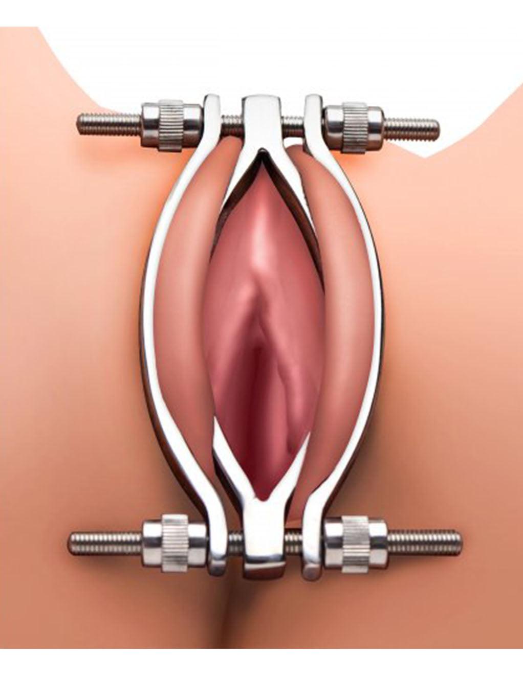 Master Series Stainless Steel Adjustable Pussy Clamp - Xoxomoving