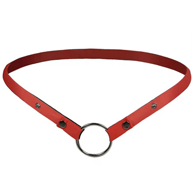 Ceinture de serrage pour cage de chasteté