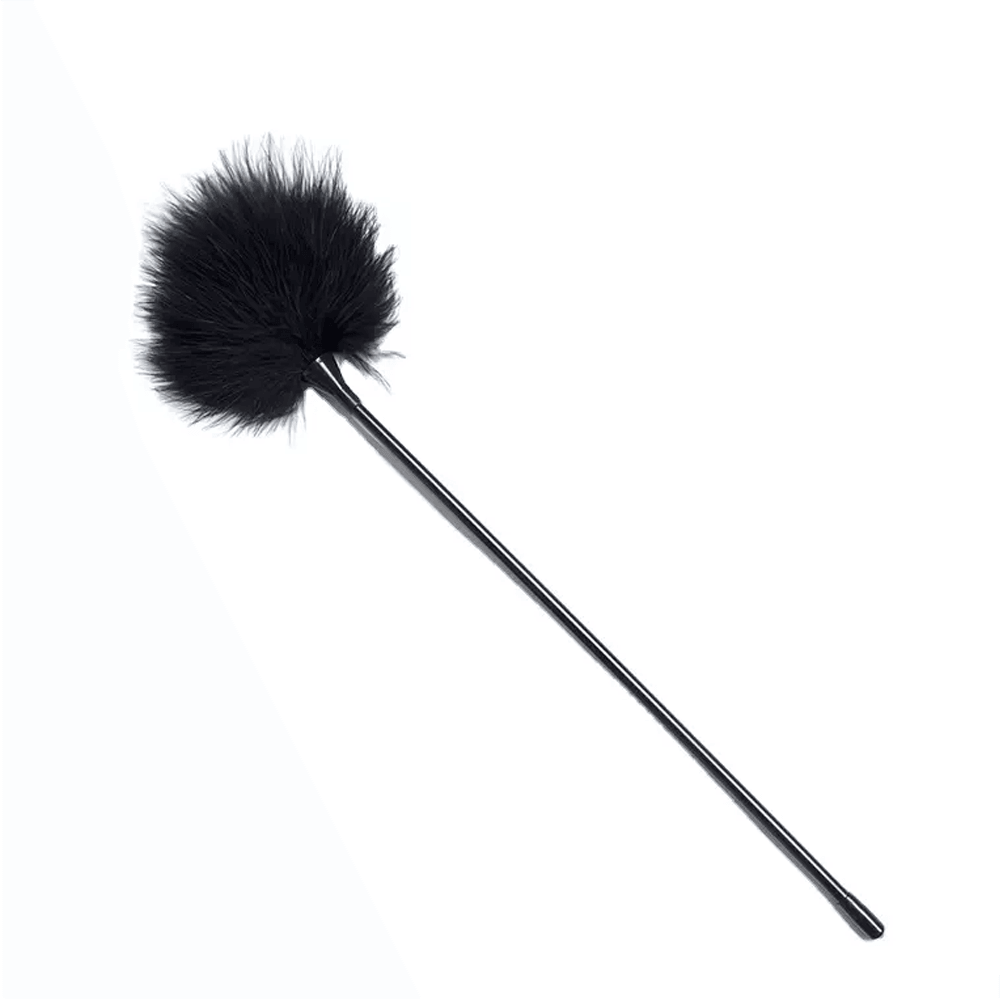 Delicate Feather Duster