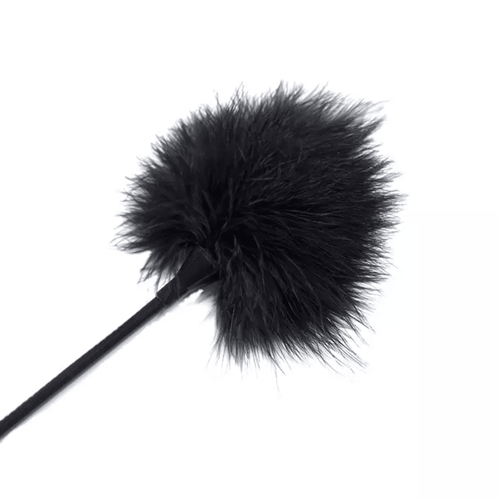 Delicate Feather Duster