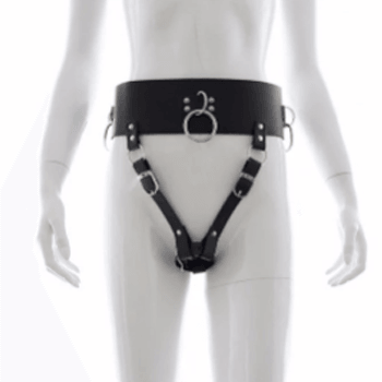 Forced Pleasure Chastity Belt