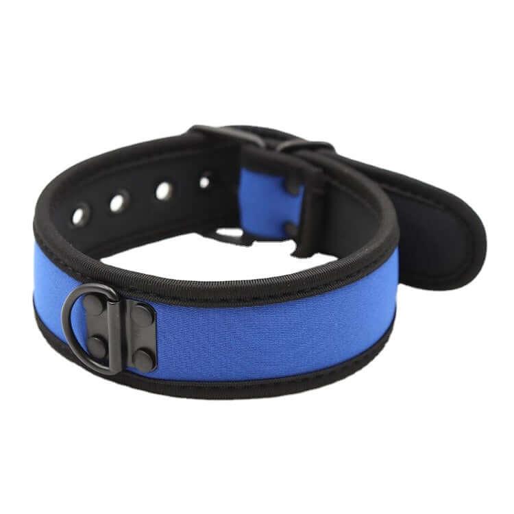 Collar azul de buen chico