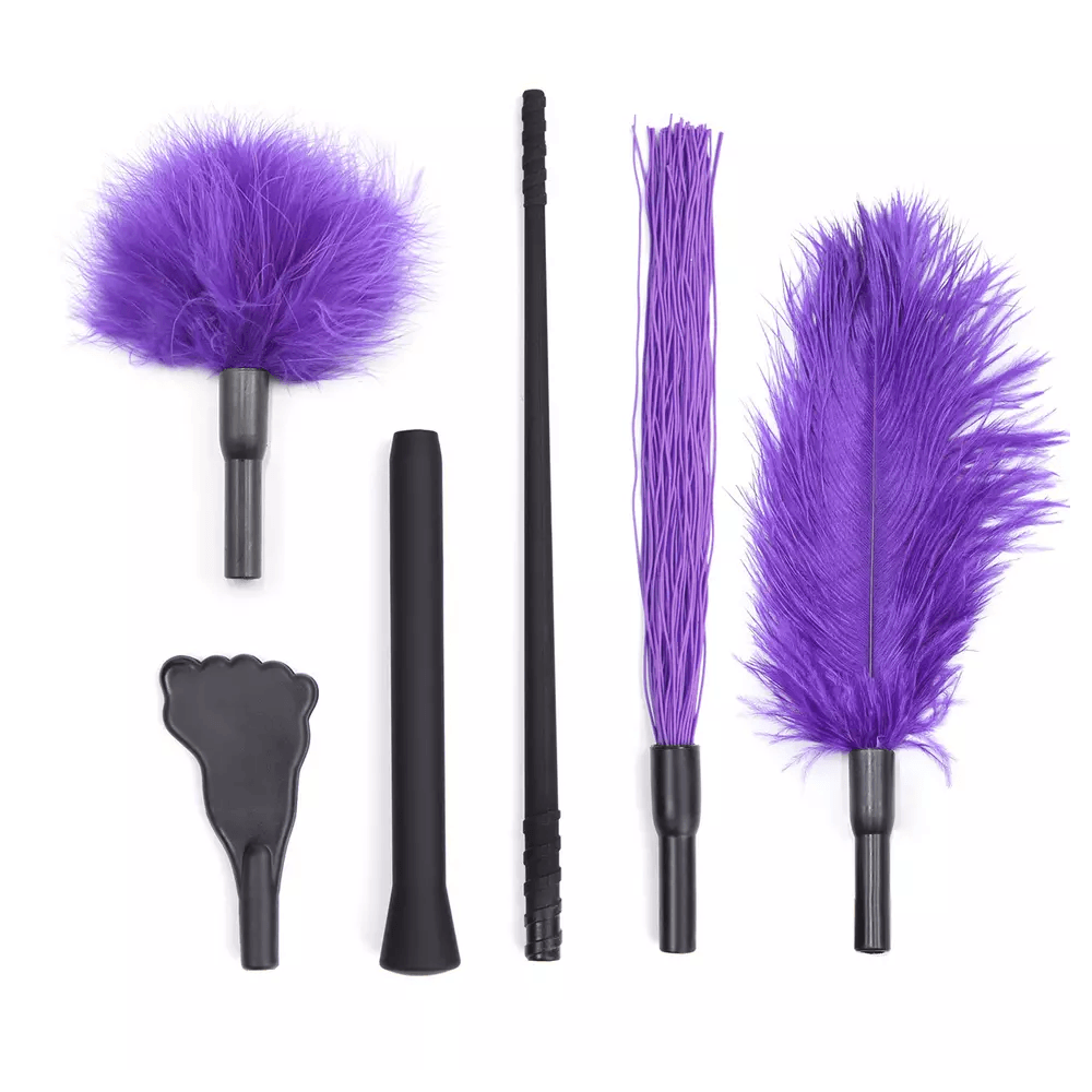 Purple Mini BDSM Kit