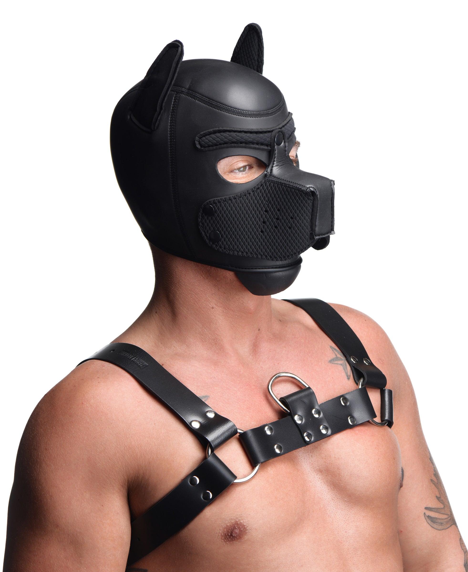 Spike Neoprene Puppy Hood - Xoxomoving