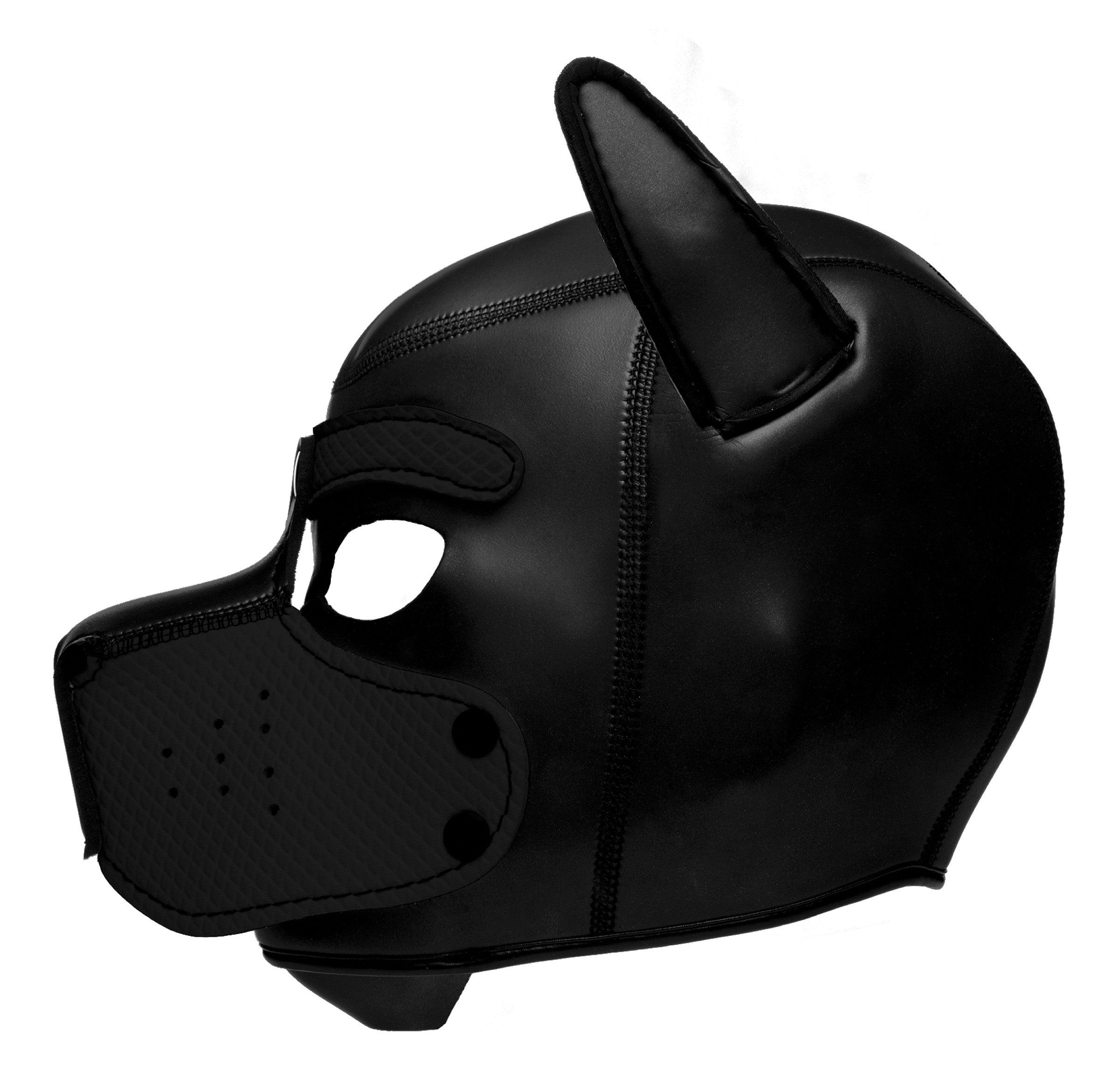 Spike Neoprene Puppy Hood - Xoxomoving