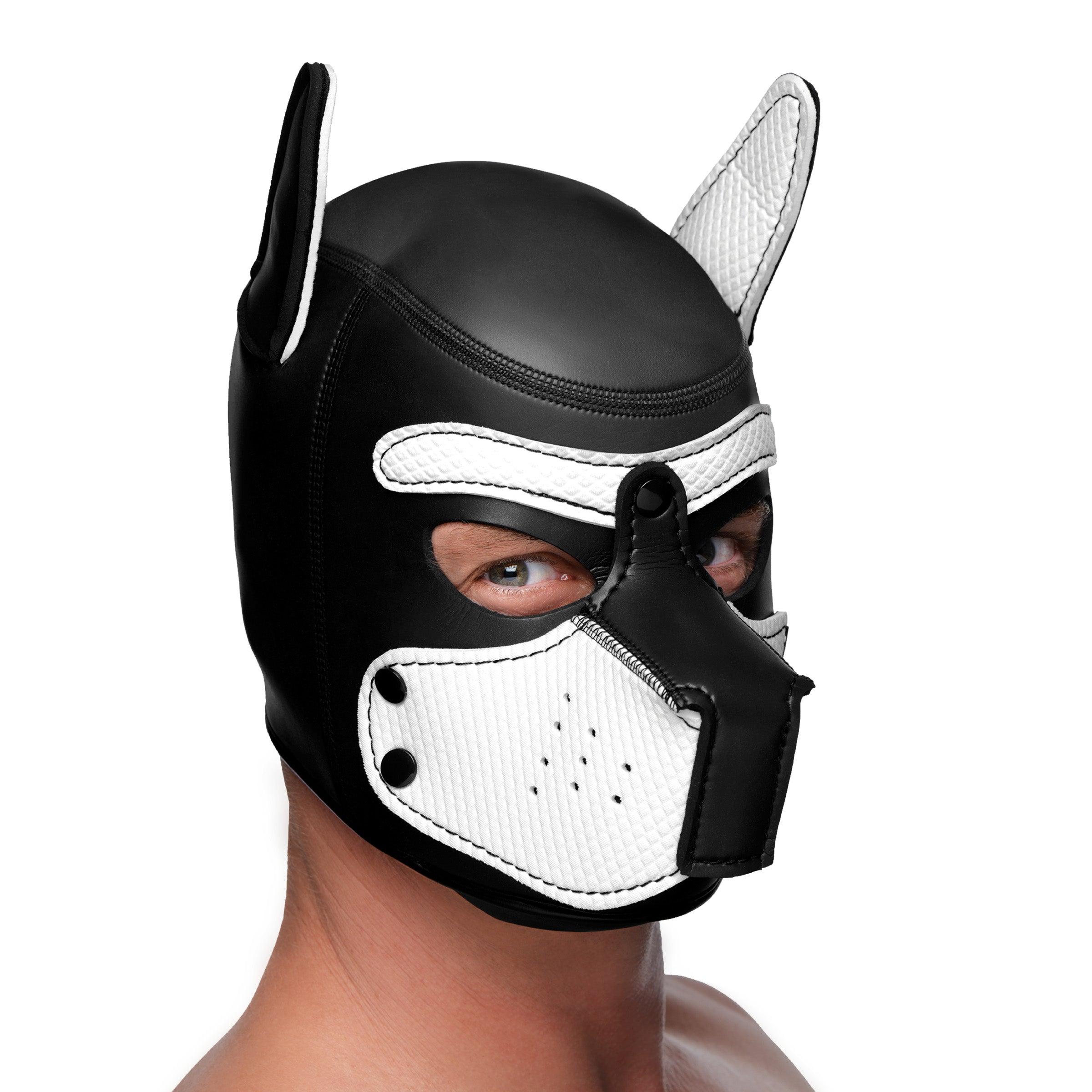 Spike Neoprene Puppy Hood - Xoxomoving