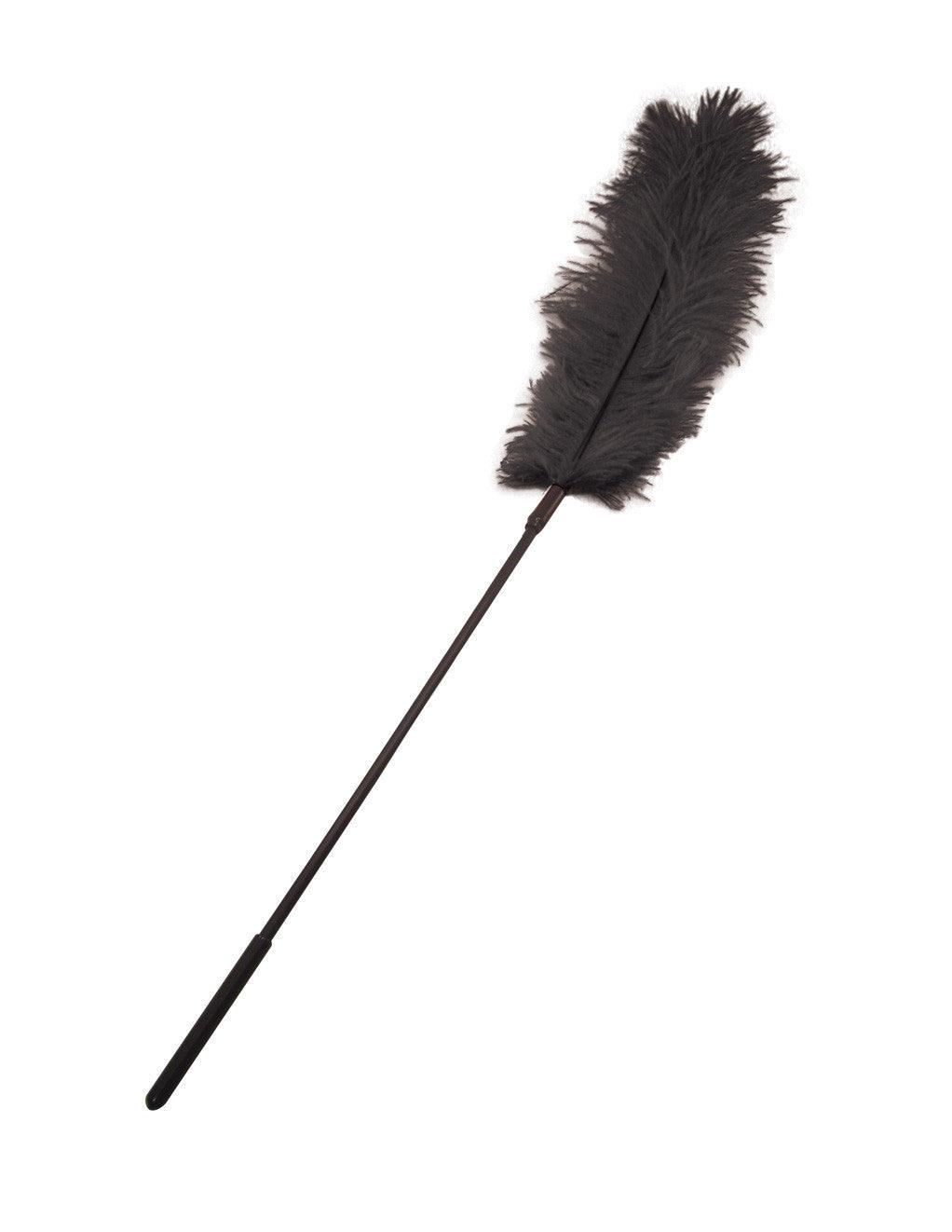 Sportsheets Ostrich Feather Tickler - Xoxomoving