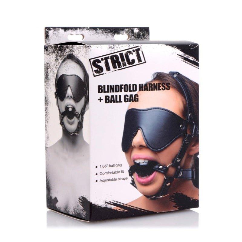 Blindfold Harness and Black Ball Gag - Xoxomoving