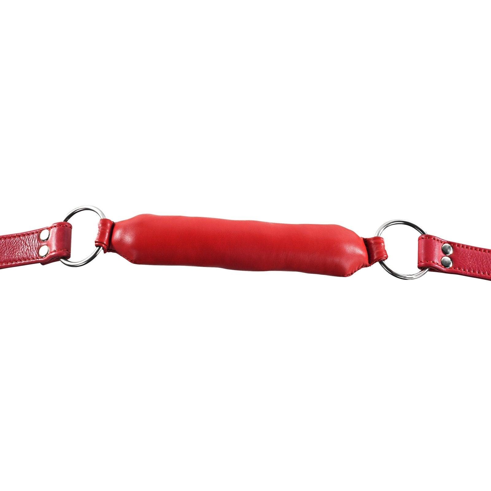 Red Rod Gag By Kink - Xoxomoving