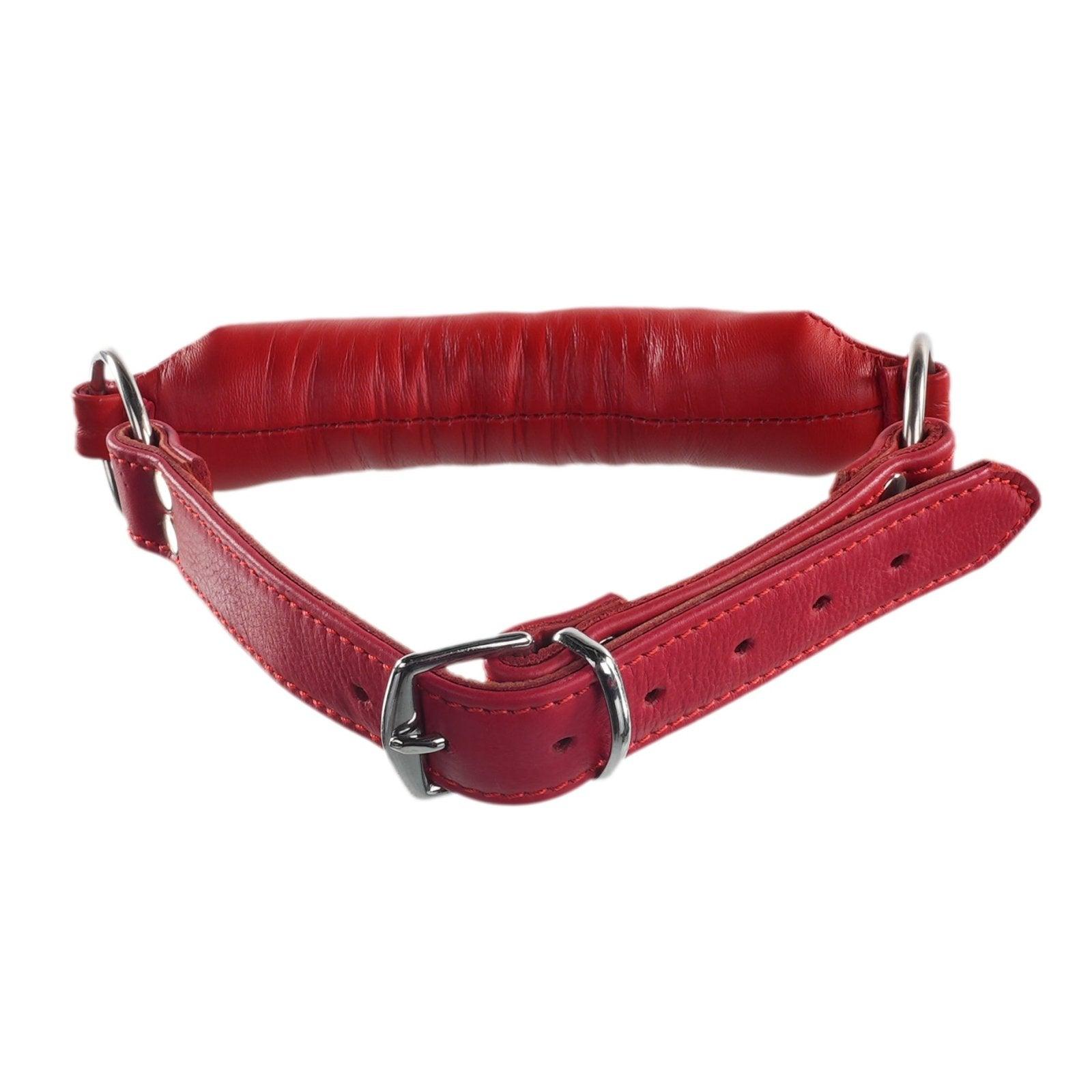 Red Rod Gag By Kink - Xoxomoving