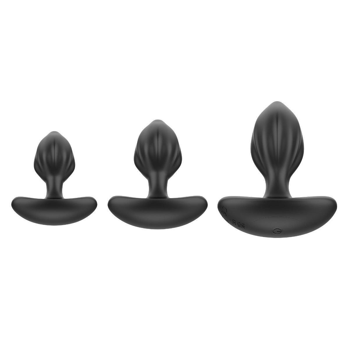 Desire Me Silicone Anal Plug Set - The Large Plug Vibrates! - Xoxomoving