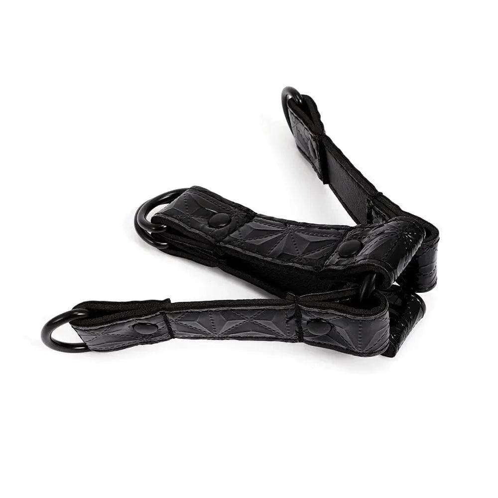 Four Point Hogtie - Black - Xoxomoving