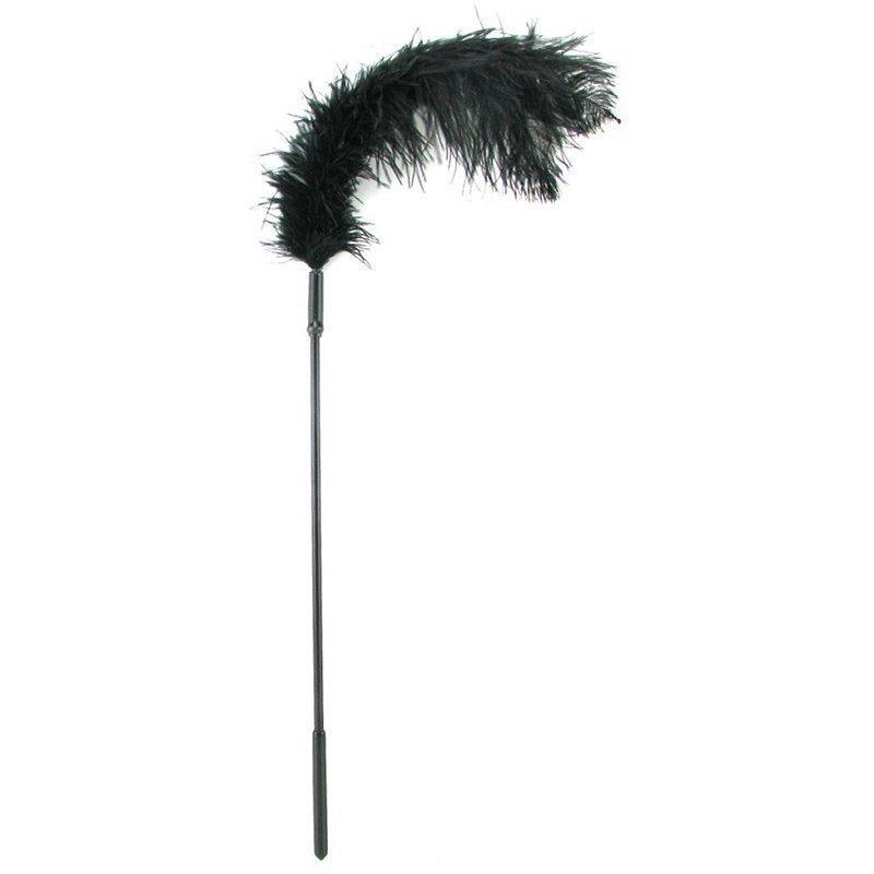 Ostrich Feather - Xoxomoving