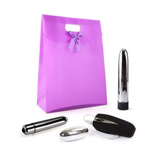 Silver vibrator kit Vibrator gift set for couples - Xoxomoving