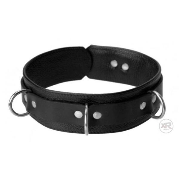 Sick Puppy Leash and Collar Kit - Xoxomoving